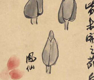 凤仙花葩稿