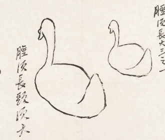 游鹅画稿