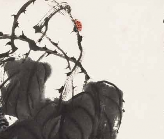 乌子藤与瓢虫
